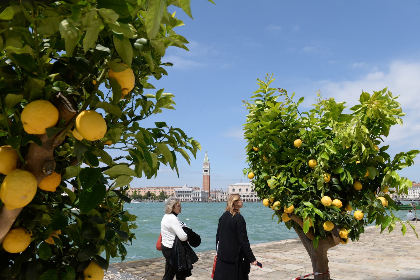 Lavoro – il diritto alle ferie